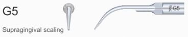 Woodpecker Scaler Tip G5